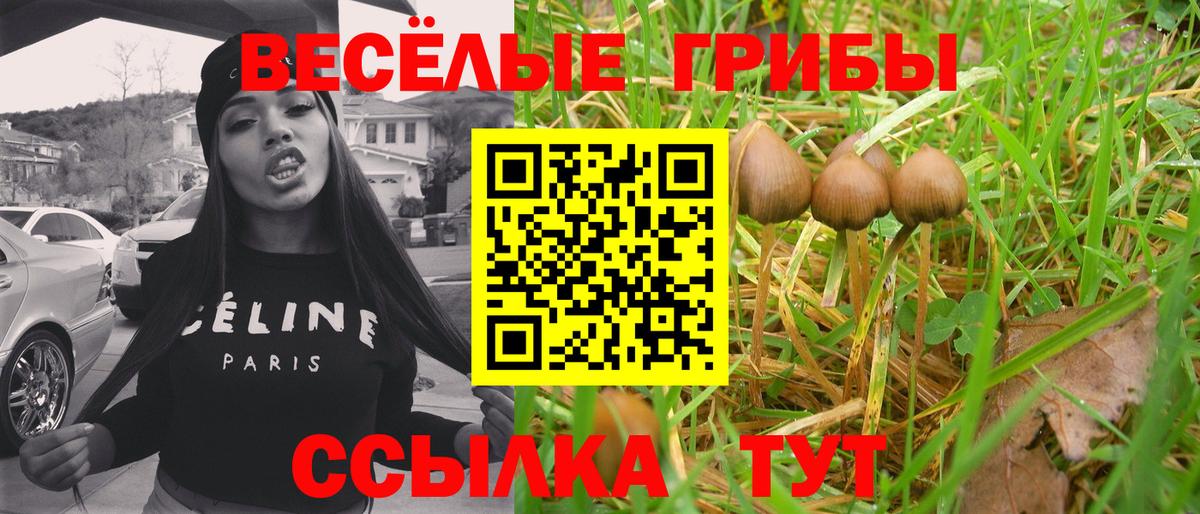 Псилоцибиновые грибы Psilocybine cubensis  Вход с VPN  Бугуруслан  Галлюциногенные грибы прущие грибы 