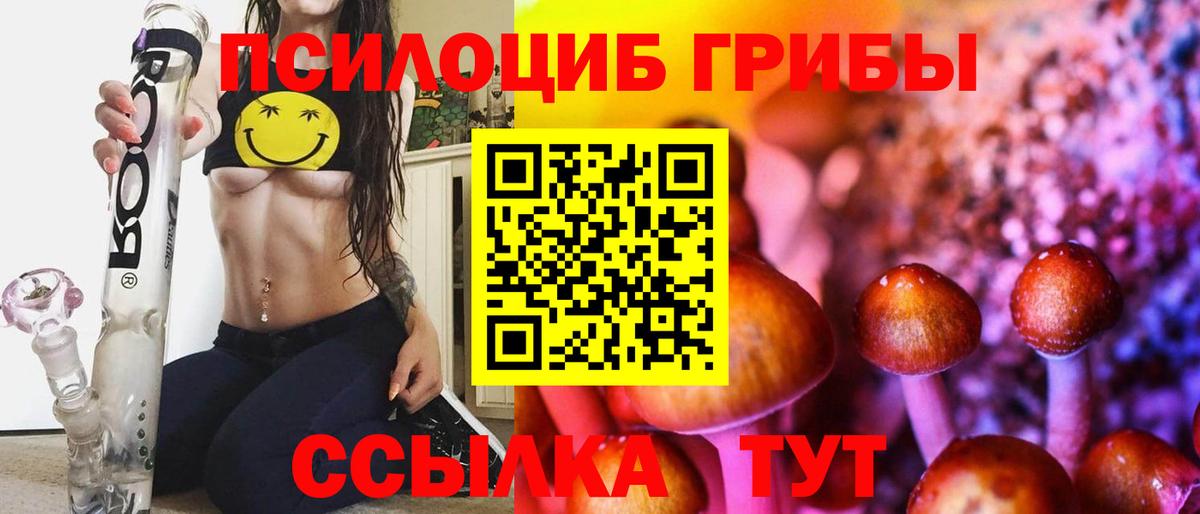 Галлюциногенные грибы Psilocybine cubensis Бугуруслан